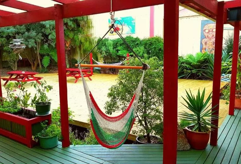 تختخواب در اتاق مشترک, Bazil S Backpackers Bbh Hostel & Surf School