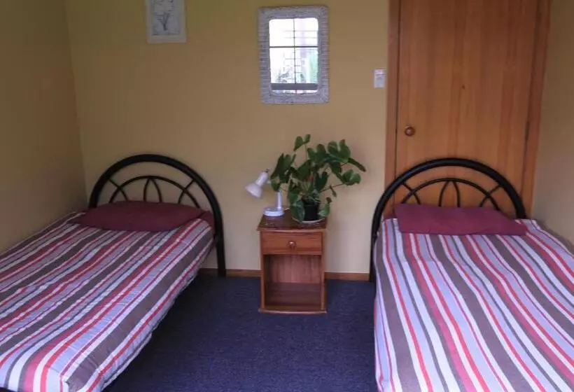 تختخواب در اتاق مشترک, Bazil S Backpackers Bbh Hostel & Surf School