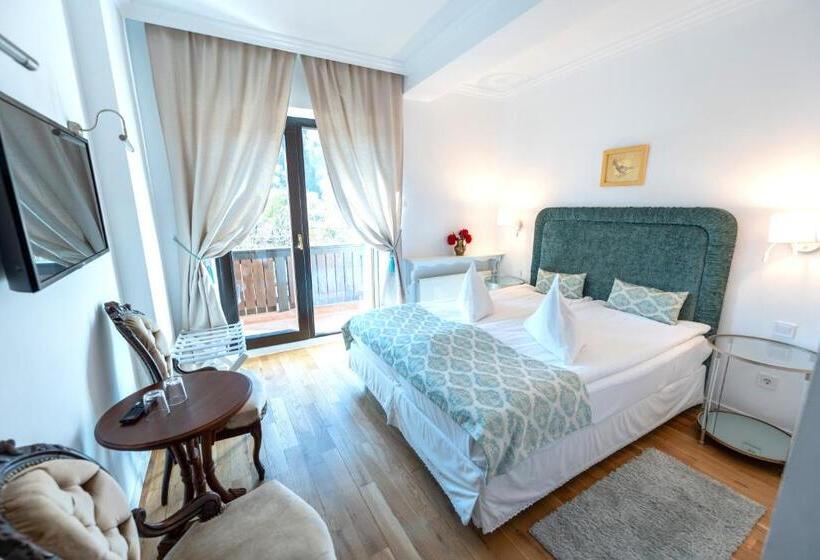 带观景的豪华间, Casa Din Bran   Inn Cuisine