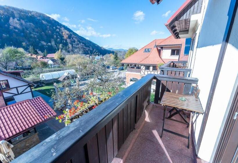 带观景的豪华间, Casa Din Bran   Inn Cuisine