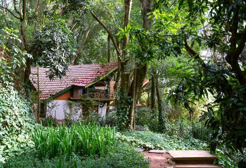 کلبه ییلاقی, Forest Cottages
