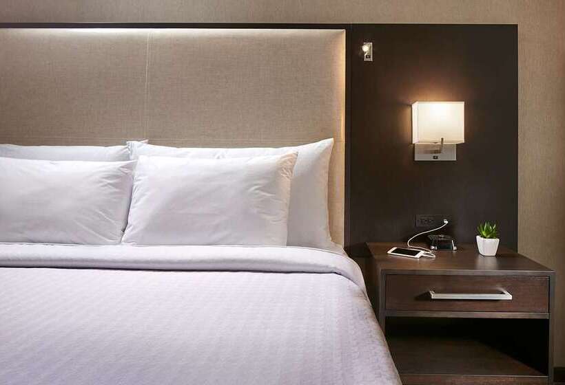 스위트, Home2 Suites By Hilton Seattle Airport