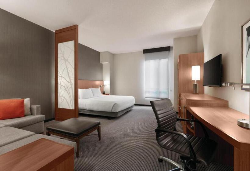 اتاق استاندارد با تخت بزرگ, Hyatt Place Baltimore Inner Harbor