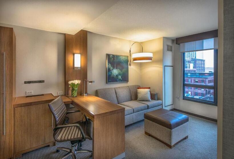 Номер Стандарт Кровать Кинг Адаптированный для Инвалидов, Hyatt Place Baltimore Inner Harbor