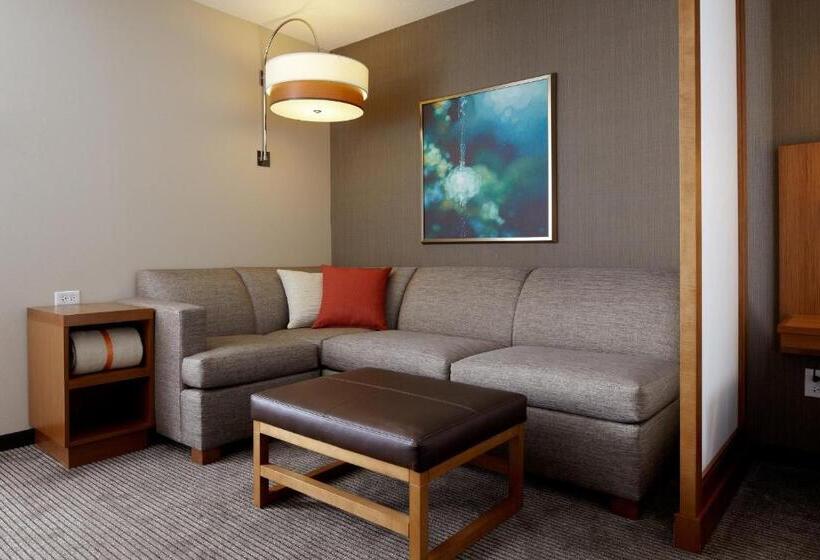 身障者適用キングサイズベッドルーム, Hyatt Place Baltimore Inner Harbor