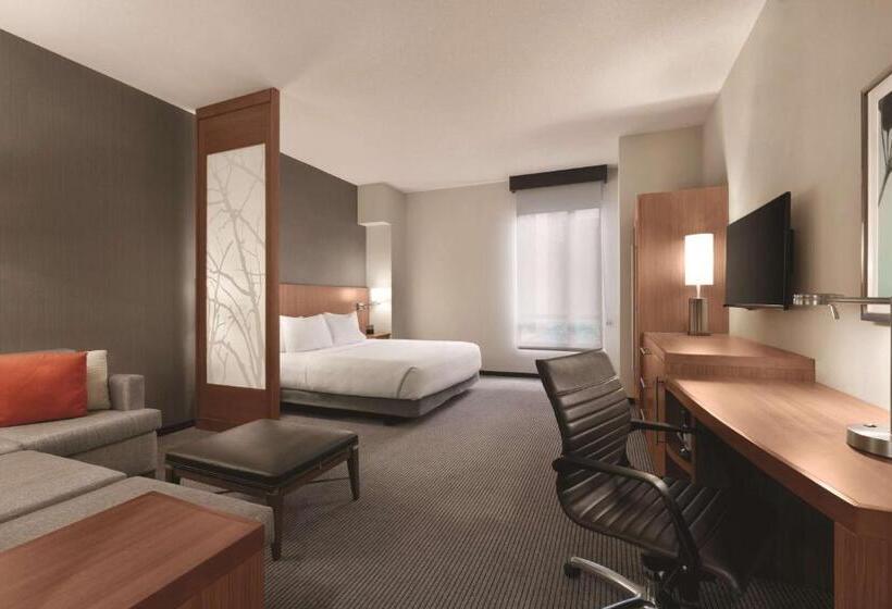 Номер Стандарт Адаптированный для Инвалидов, Hyatt Place Baltimore Inner Harbor