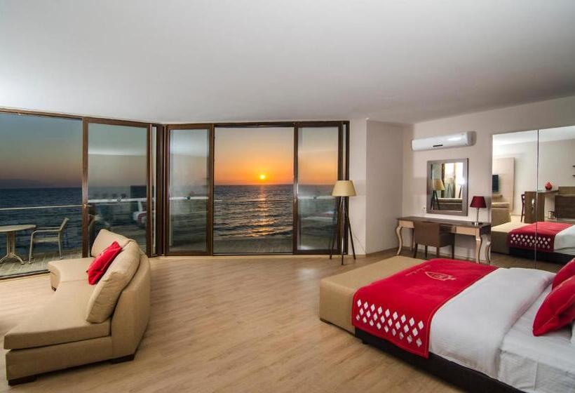 스탠다드 스튜디오, Ladies Beach Suite