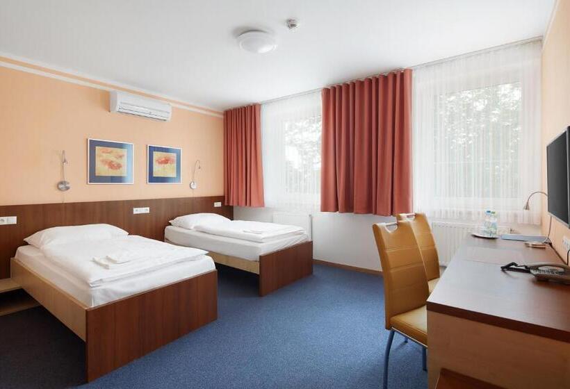 高级大房间, Nikolas