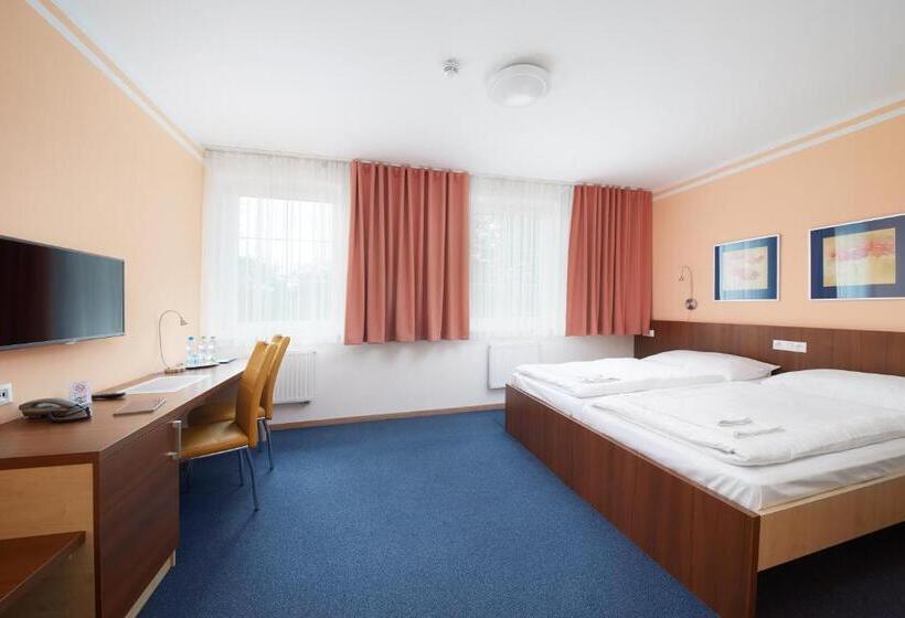 高级大房间, Nikolas