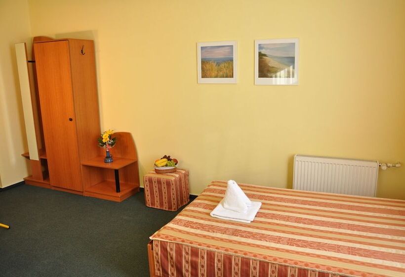 标准单人间, Nikolas