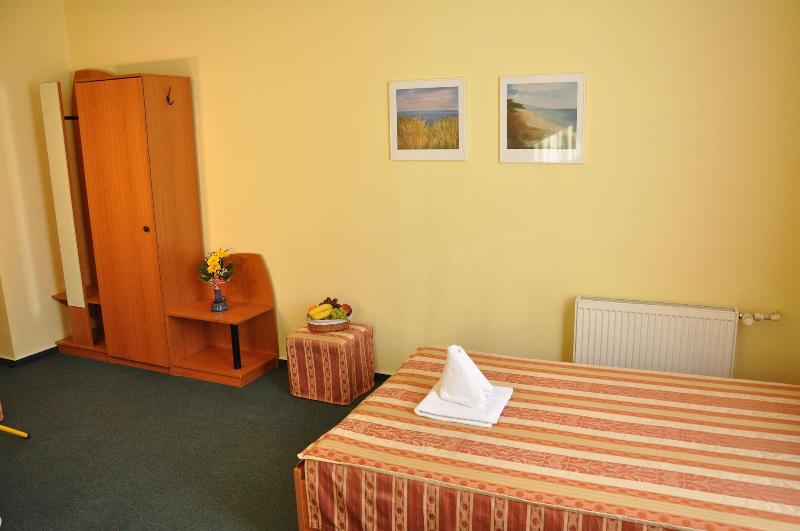 标准单人间, Nikolas