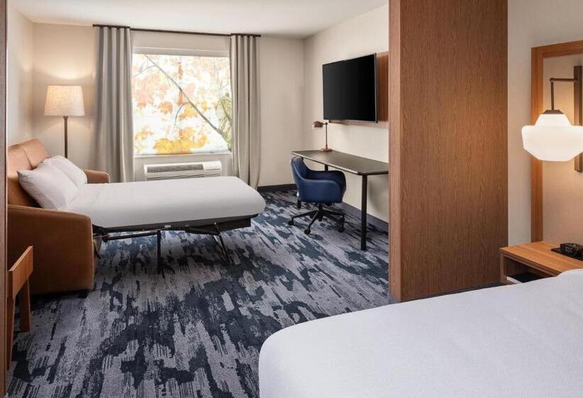 سوئیت با تخت بزرگ, Fairfield By Marriott Inn & Suites Yankton