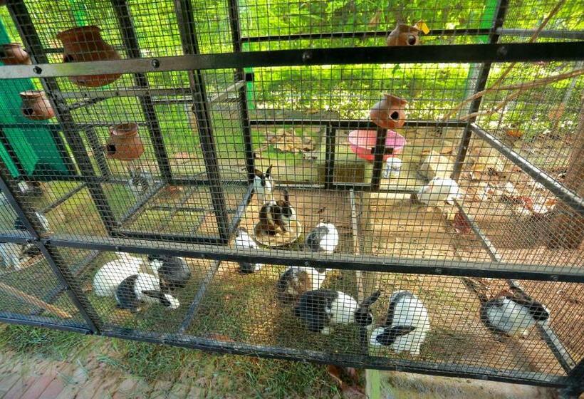 标准间, Selvamathi Farm Resorts