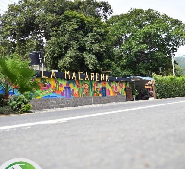 דירת חדר, Hostal La Macarena