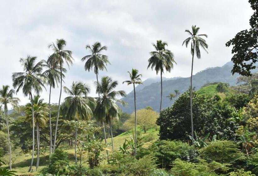 חדר סטנדרט נוף להרים, Hostal La Macarena