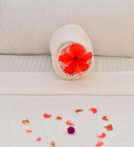 家庭间, Minara Miwili   Forodhani Park