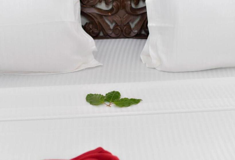 豪华房间, Minara Miwili   Forodhani Park