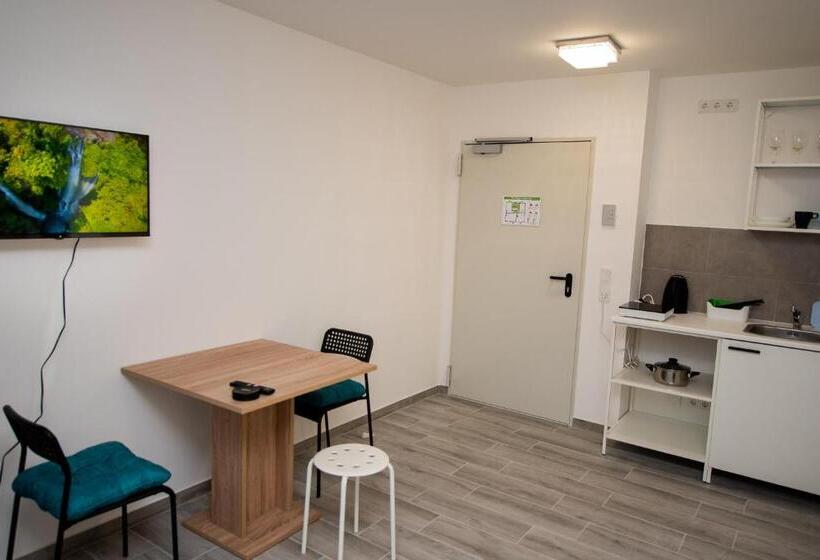 غرفة قياسية, Studio Für 4 Personen