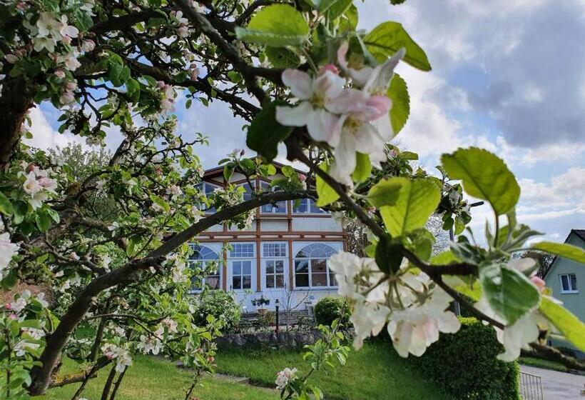 اتاق استاندارد با تراس, Villa Dorothea