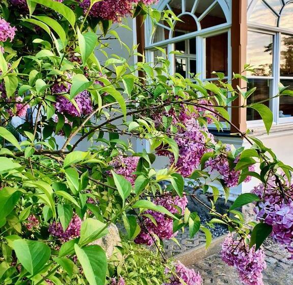 اتاق استاندارد با تراس, Villa Dorothea