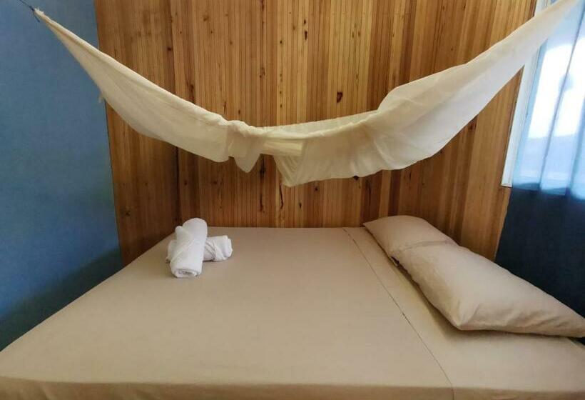 스탠다드 룸, Chowa Lodge