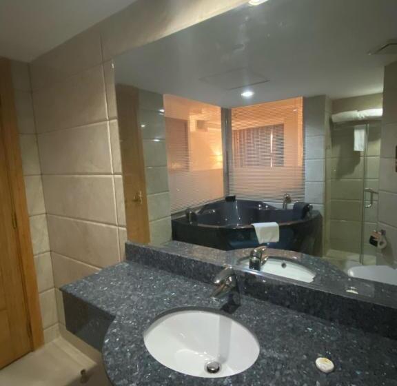 اتاق استاندارد با تخت بزرگ, City Center