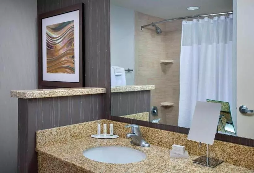 身障者適用スタンダードルーム, Courtyard By Marriott Philadelphia Lansdale