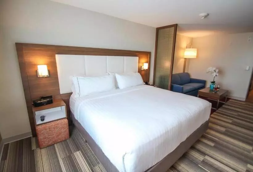 سوئیت با تخت بزرگ, Holiday Inn Express & Suites Miami Airport East, An Ihg