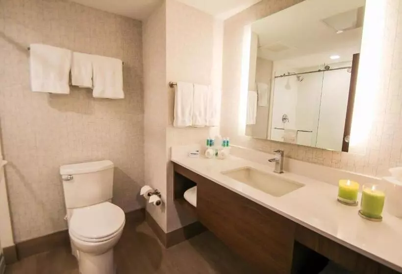 اتاق استاندارد با تخت بزرگ برای معلولان, Holiday Inn Express & Suites Miami Airport East, An Ihg