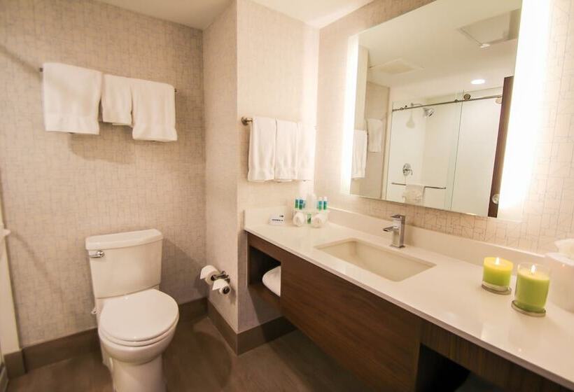 套房, Holiday Inn Express & Suites Miami Airport East, An Ihg