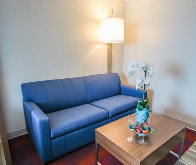 Люкс, Holiday Inn Express & Suites Miami Airport East, An Ihg