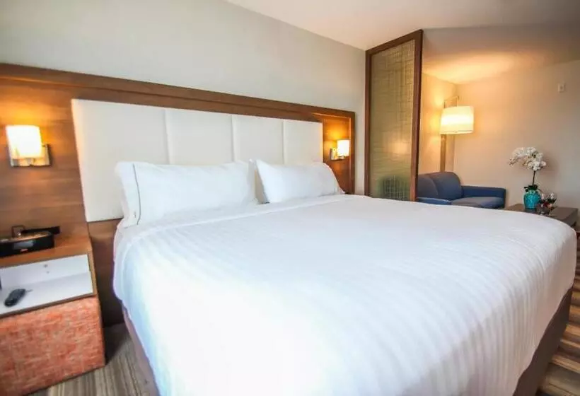 سوییت, Holiday Inn Express & Suites Miami Airport East, An Ihg
