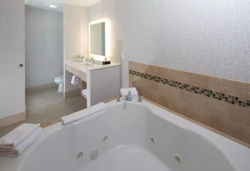 エクゼクティブスイート, Holiday Inn Express & Suites Monroe, An Ihg