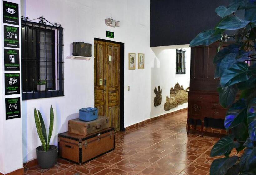 اتاق لوکس, La Casa De Mamapán Hotel Colonial Ahuachapan