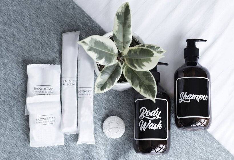 اتاق کلاسیک, Nuve