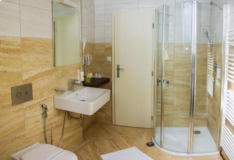 חדר קומפורט, Ensana Pro Patria