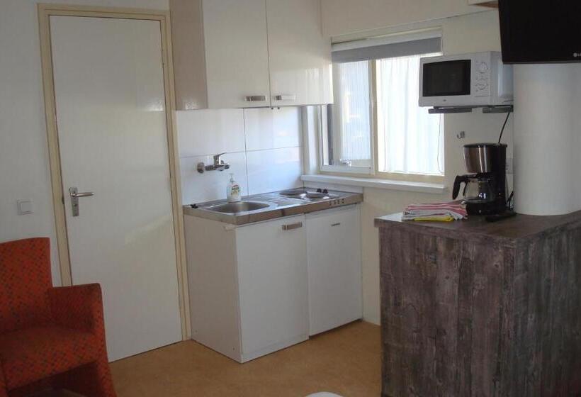 Студия Стандарт, Rasch