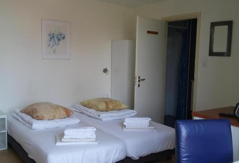 Студия Стандарт, Rasch