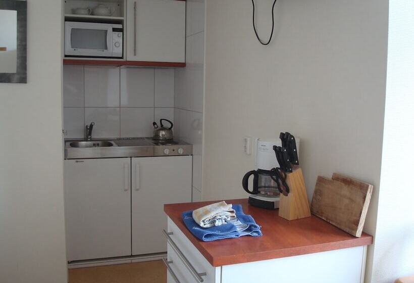 Студия Стандарт, Rasch