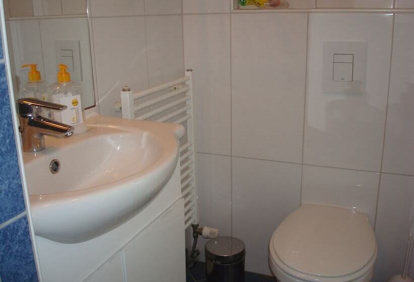 Студия Стандарт, Rasch