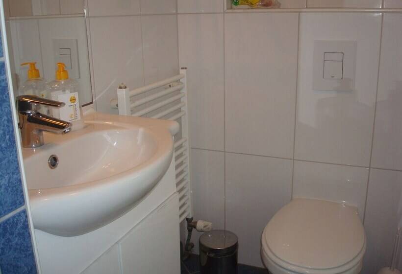 Студия Стандарт, Rasch