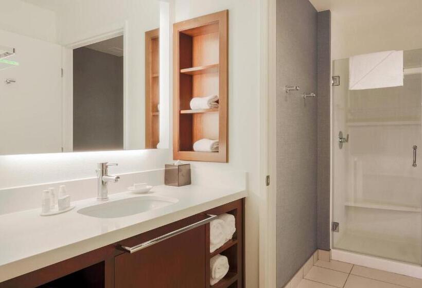 Студио Стандарт Кровать Кинг, Residence Inn By Marriott San Jose Airport