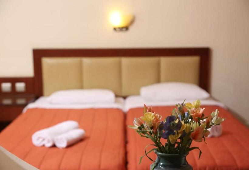 דירת חדר, Zeus