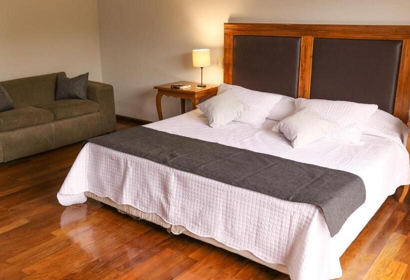 اتاق سوپریور با تخت بزرگ, Terrazas Vista Verde