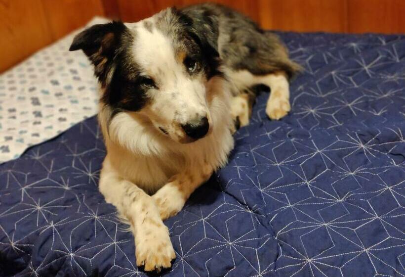 חדר משפחתי, Kentucky Lake Hickory Hill Resort