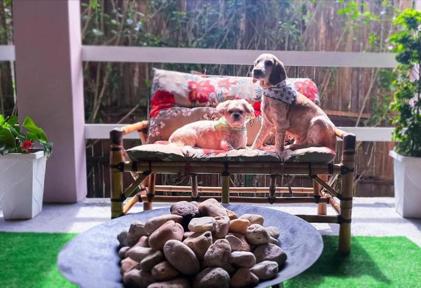 套房, Pousada águas Do Embaú