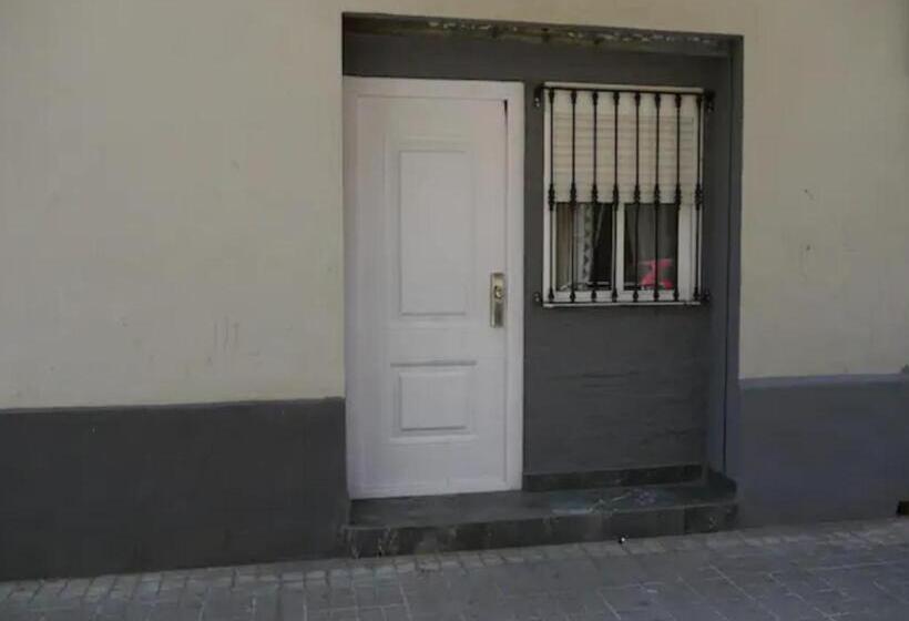 جناح مزود بجاكوزى, Cozy Rooms   Bañera Hidromasaje