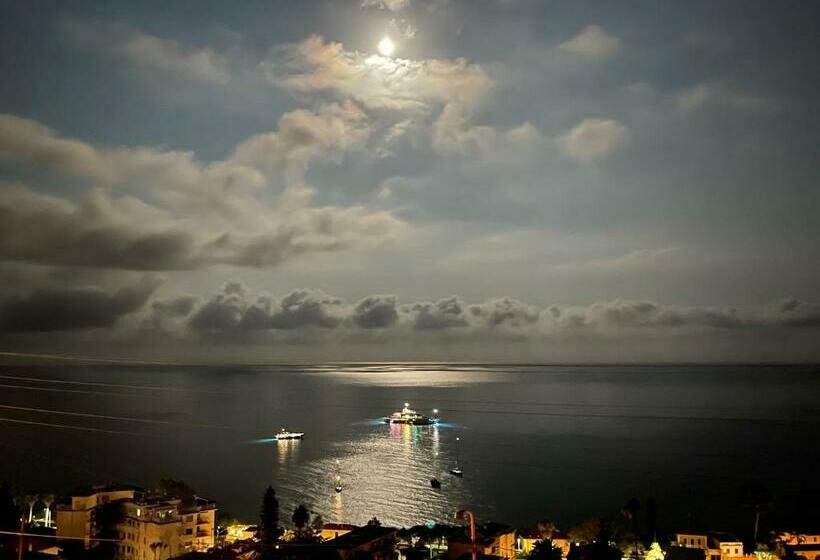 غرفة قياسية مطلّة علي البحر, Agaves