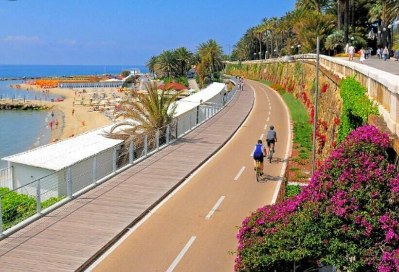 غرفة قياسية مطلّة علي البحر, Agaves