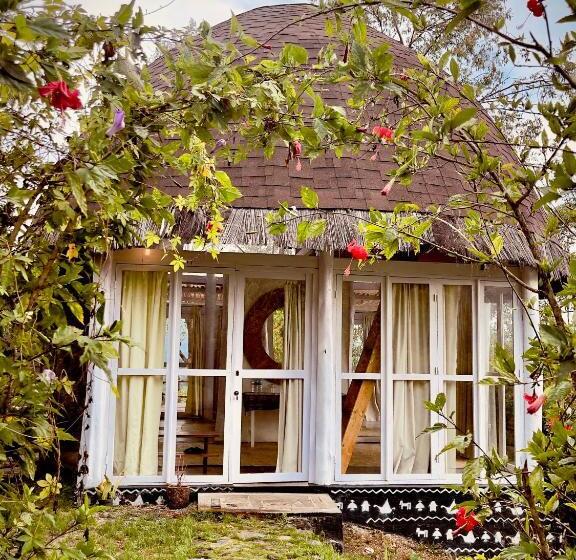 标准平房, Manulalu Jungle